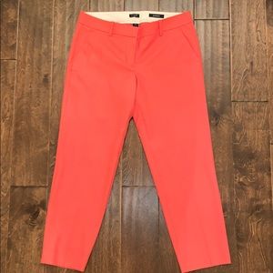 Factory skimmer pant / 6 / NEON ROSE
